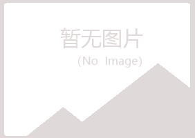 青岛黄岛清新金融有限公司